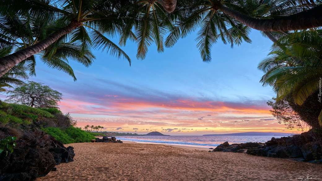 Plaża na wyspie Maui. puzzle online