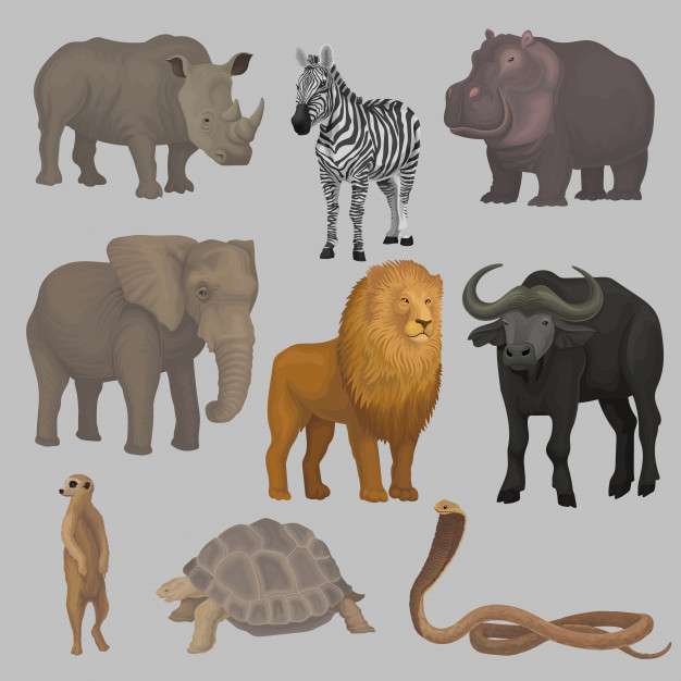 Zwierzęta afryki puzzle online