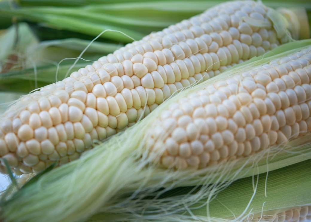 biała kukurydza na zielonej tkaninie puzzle online