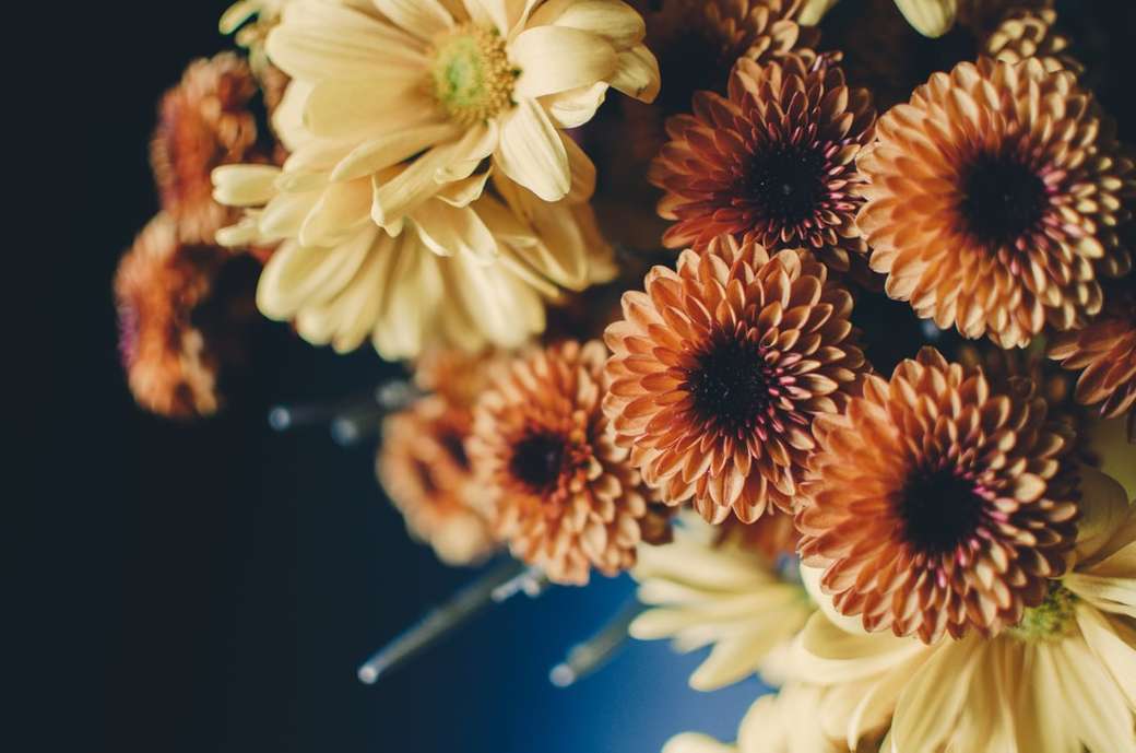 bukiet kwiatów beżowo-pomarańczowych puzzle online