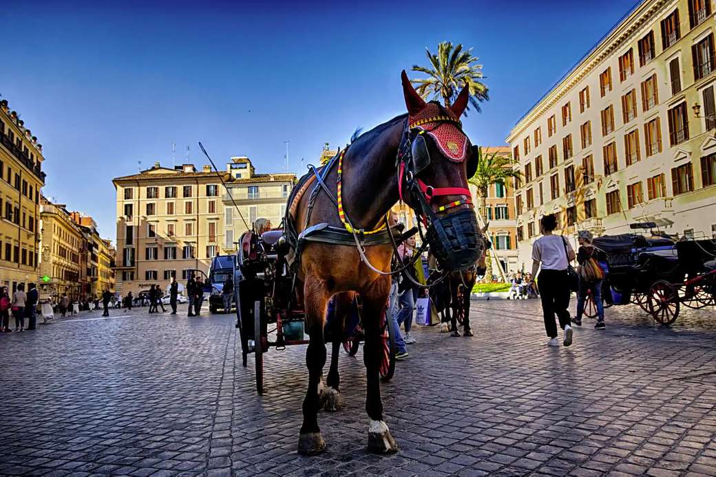 Przewóz w centrum Rzymu puzzle online