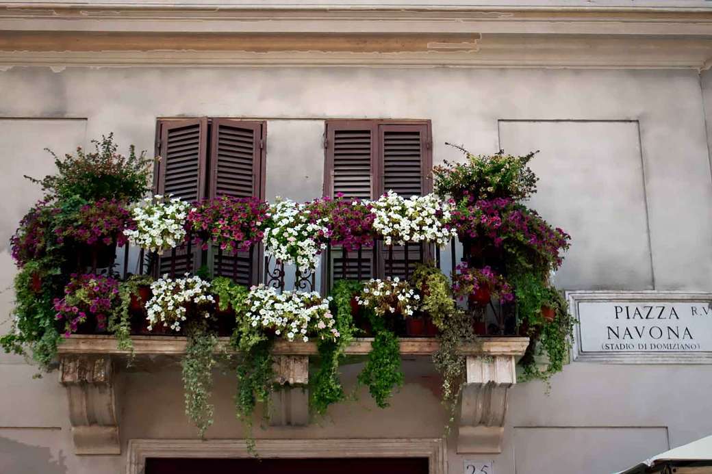 Balkon Piazza Navona z kwiatami w Rzymie puzzle online