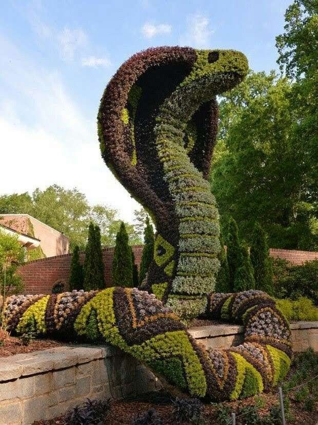 Cobra gigante rompecabezas