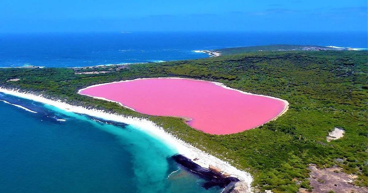 różowe jezioro w australii puzzle online