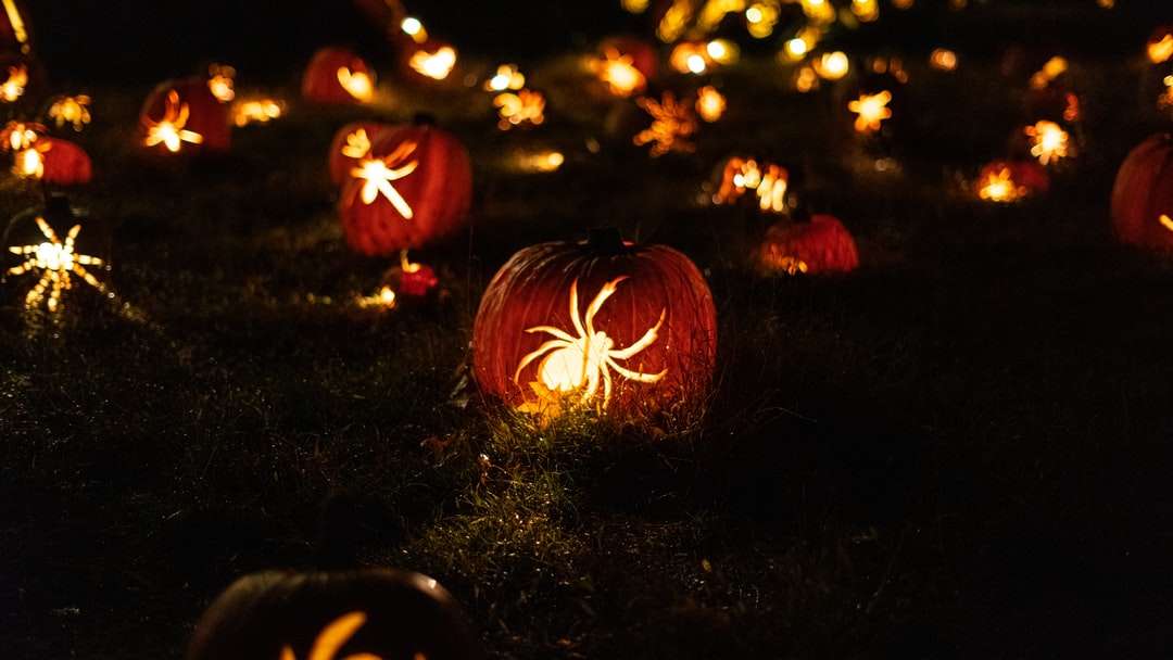 Field of Spider Jack O'lanterns puzzle online