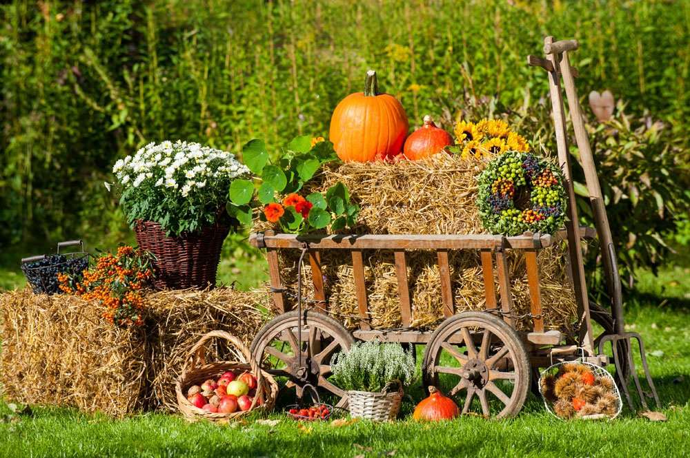 Jesienna dekoracja w ogrodzie puzzle online