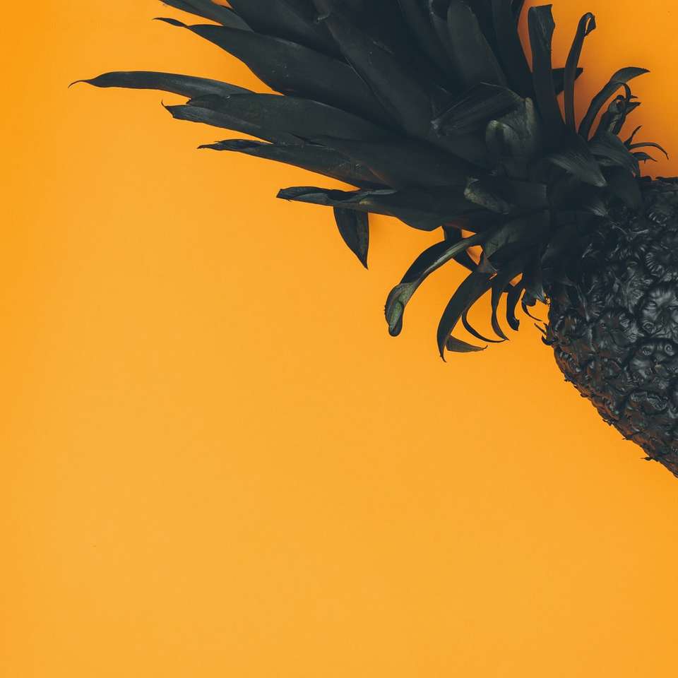 ananas na pomarańczowym tle puzzle online