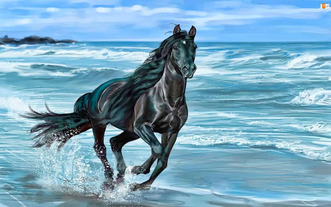 czarny koń nad morzem puzzle online