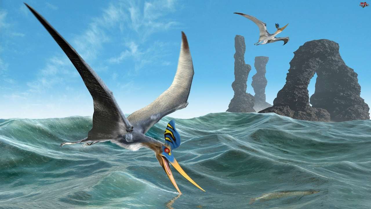 Morze, Pterozaury puzzle online