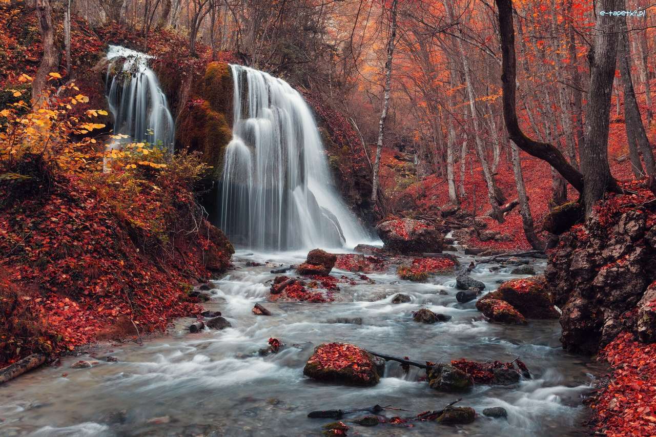 jesień w lesie z wodospadem puzzle online