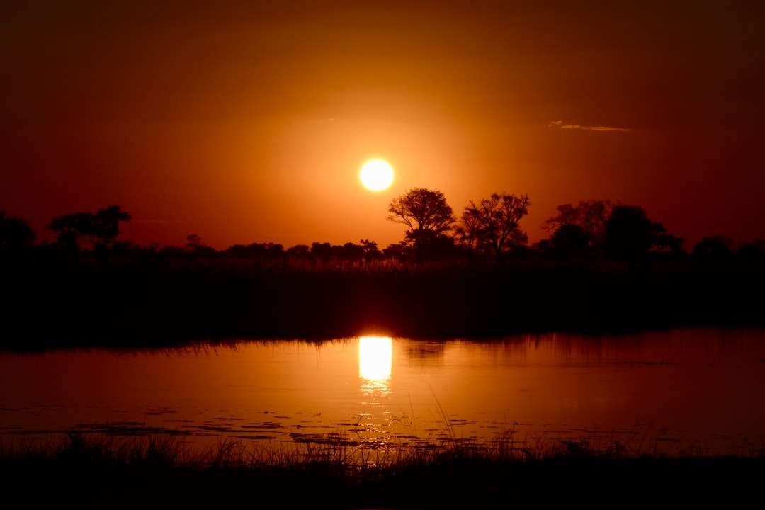 Zachód słońca w Okawango puzzle online