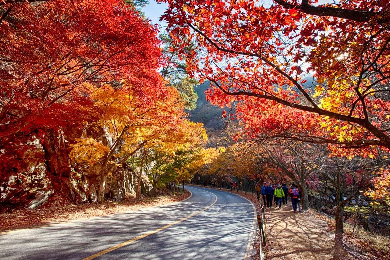 Jesień w Korei Południowej puzzle online