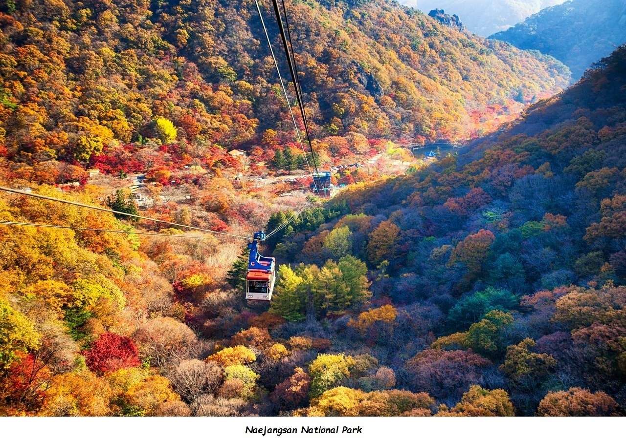 Jesień w Korei Południowej puzzle online