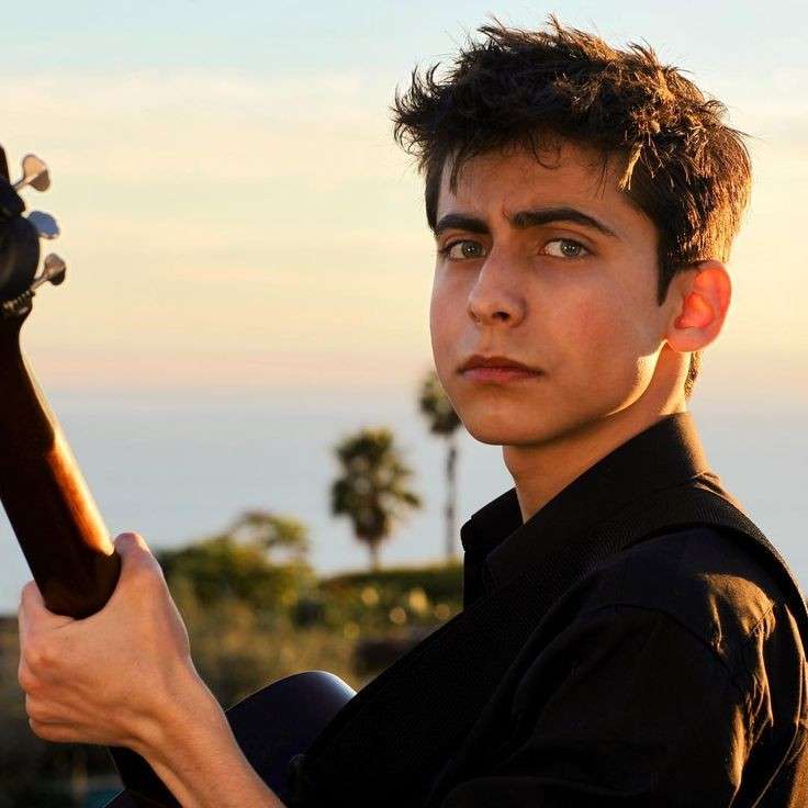 Aidan gallagher puzzle online