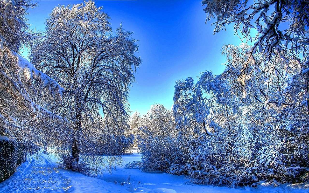 Las w zimowej sukience puzzle online