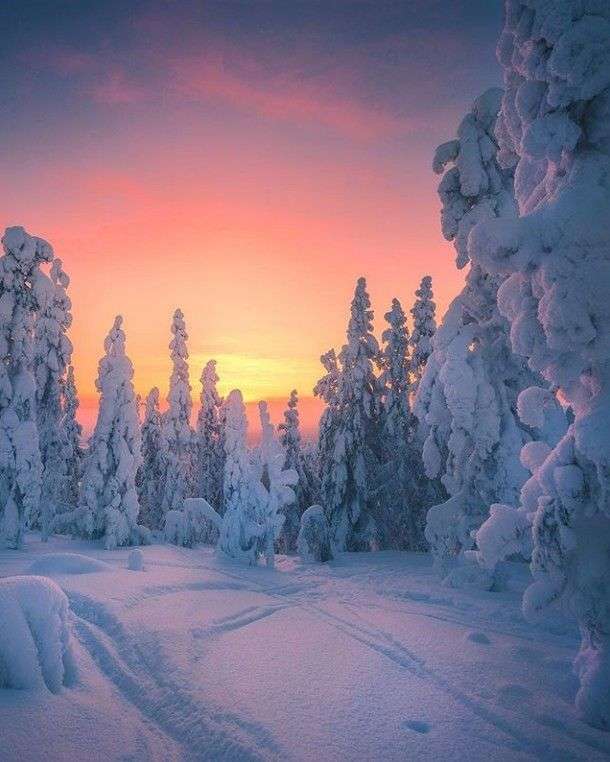 Zimowy krajobraz i zachód słońca puzzle online