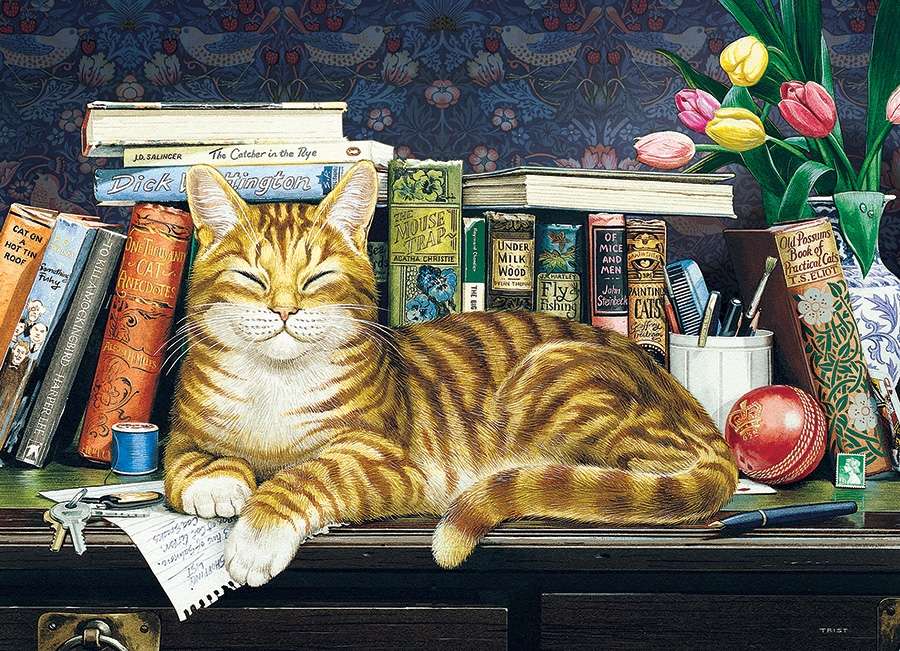 kot na półce wśród książek puzzle online
