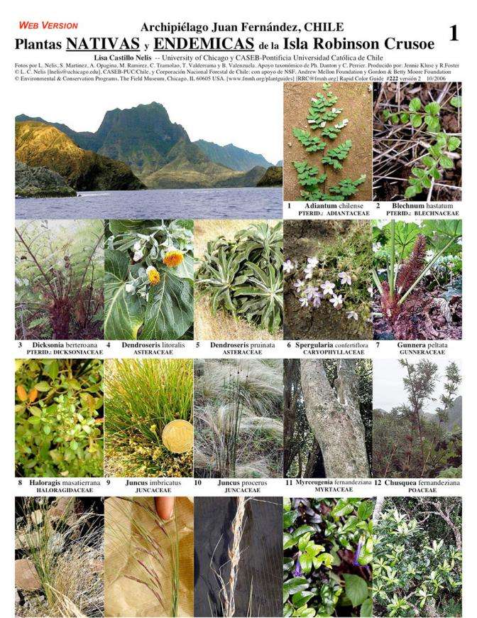 Flora i fauna puzzle online