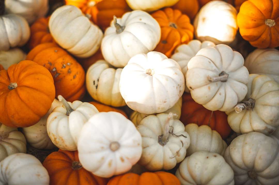 Pick-a-Pumpkin puzzle online