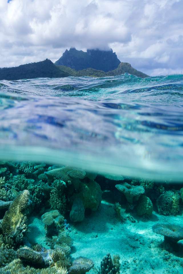 Morze Tropikalne puzzle online
