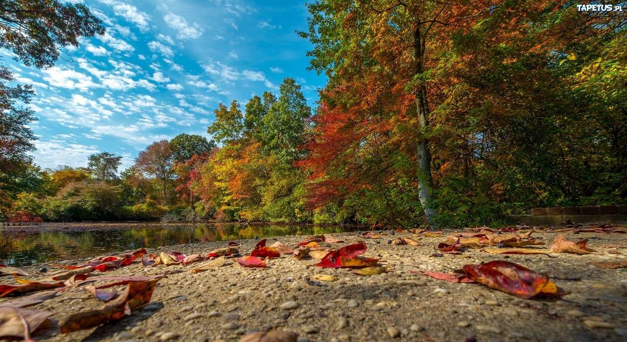 Autumn on the river. jigsaw puzzle