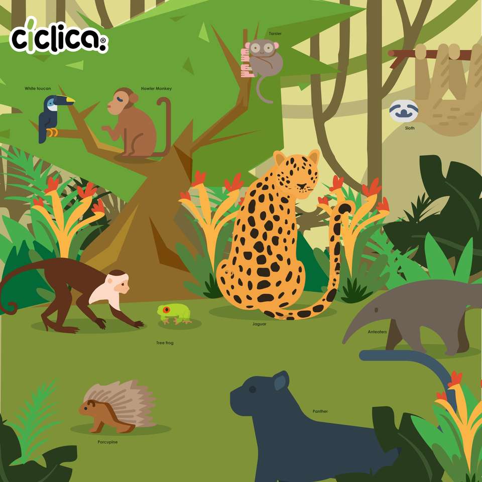 Cykliczna dżungla puzzle online