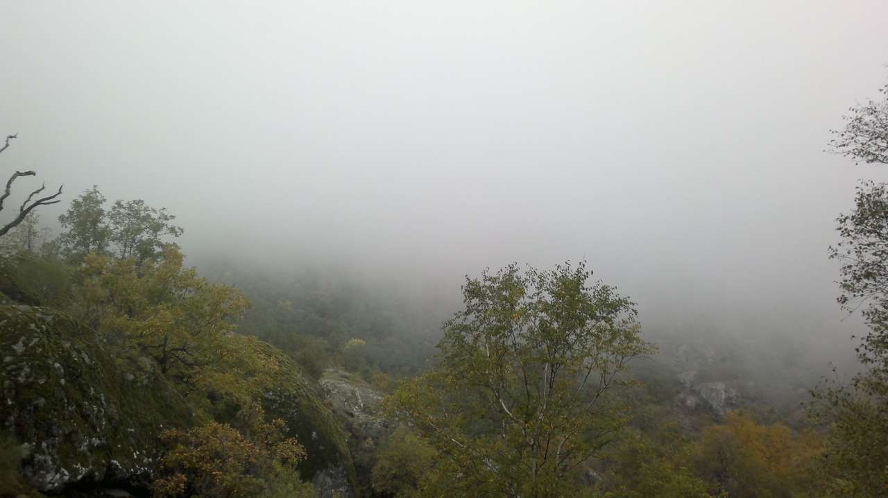 Mgła w Sanabrii. puzzle online