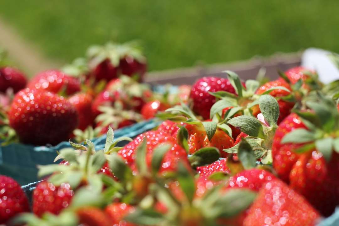 röda jordgubbar på rostfritt stålbricka pussel