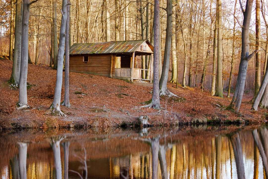 brązowy drewniany dom w pobliżu wody i drzew puzzle online