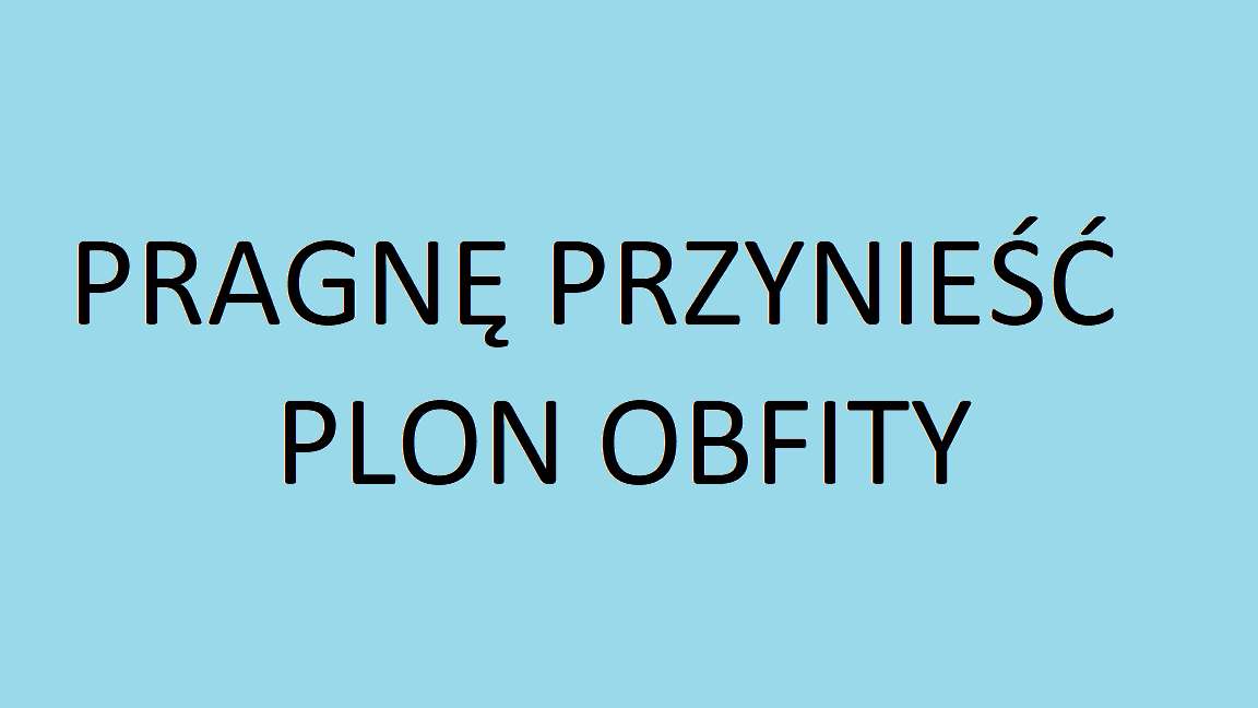 PLON OBFITY puzzle online