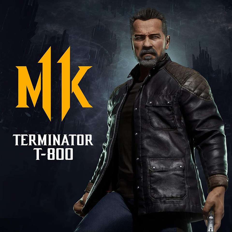Terminator MK 11 puzzle online