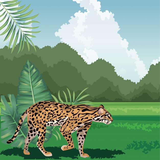 Jaguar: Amazon puzzle online