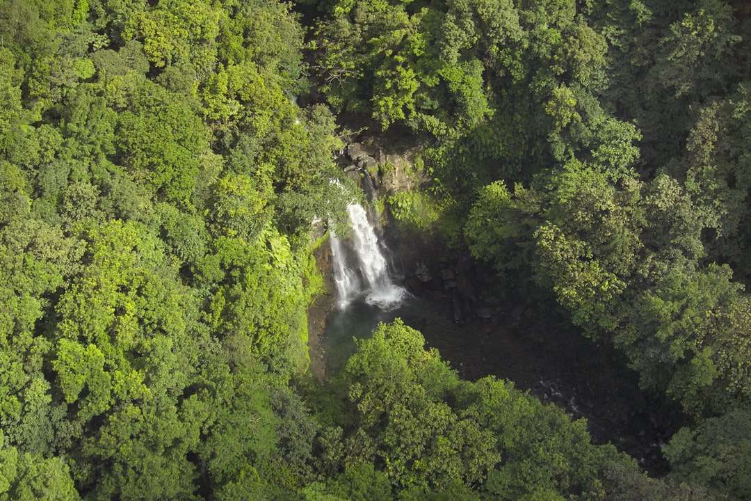 aerial view of trees near waterfalls puzzle