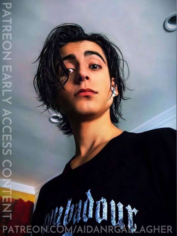 Aidan gallagher puzzle online