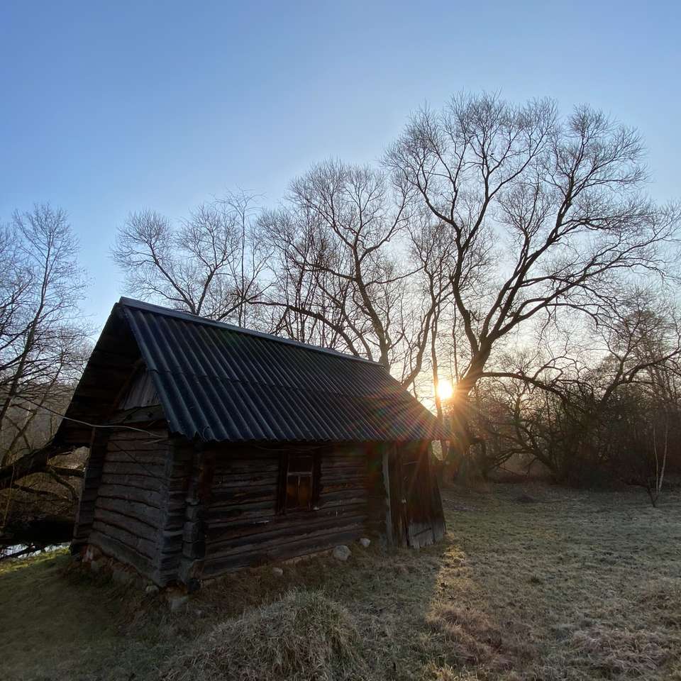 brązowy drewniany dom w pobliżu nagich drzew podczas zachodu słońca puzzle online