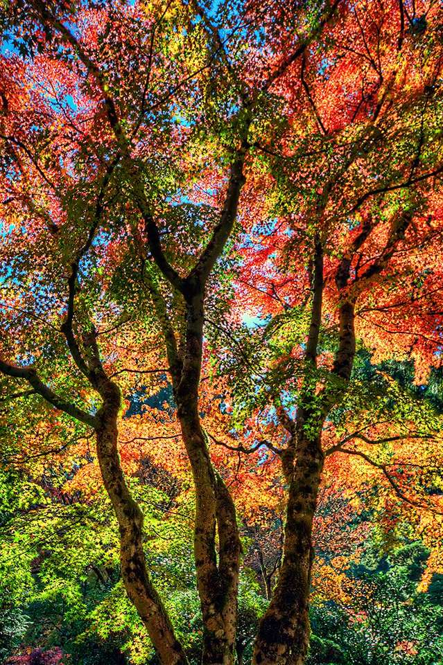 Malowanie drzew w kolorze nieba puzzle online