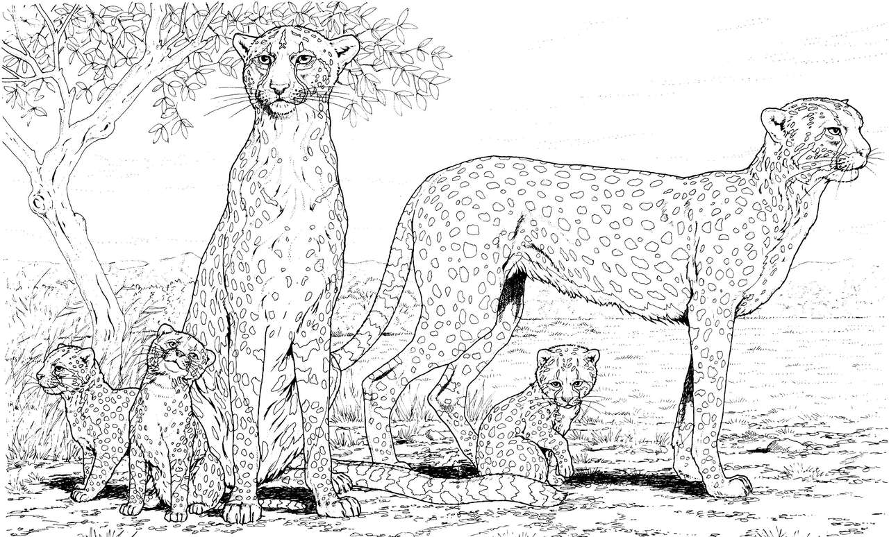 5 gepardów puzzle online