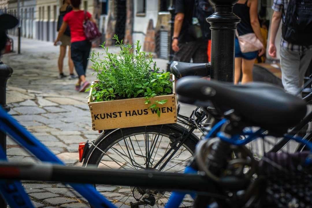 zielone rośliny liściaste na rowerze podmiejskim puzzle online
