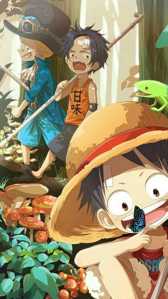 Ace Sabo Luffy puzzle online