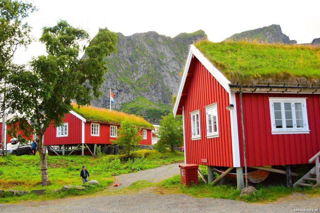 domy w norwegi pokryte mchem puzzle online