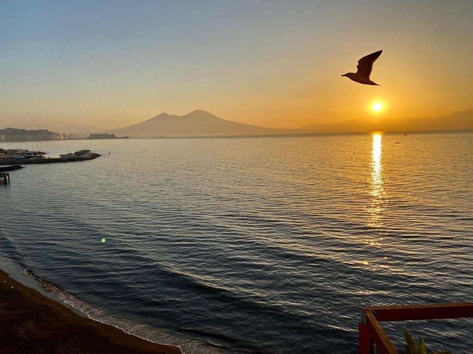 Wschód słońca z mewa Neapol Włochy puzzle online
