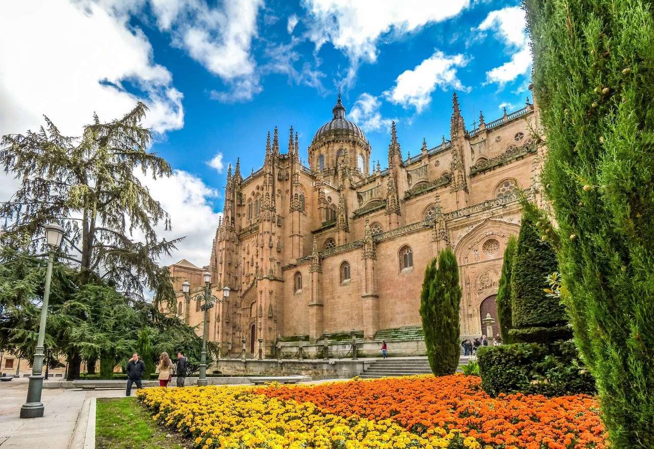 Salamanca widok na katedrę puzzle online