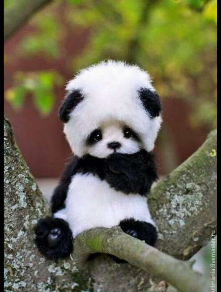 Śliczna panda puzzle online