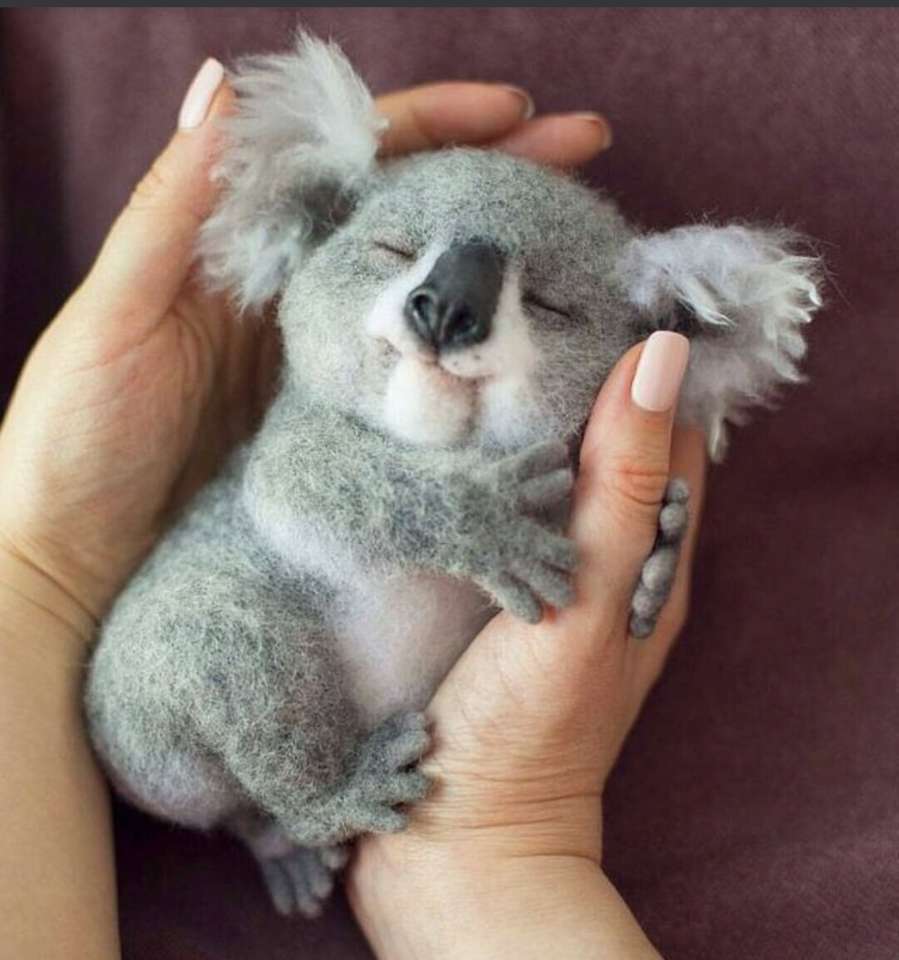Słodki mały Koala puzzle online
