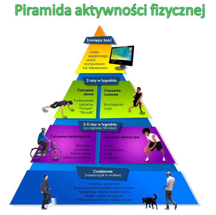 Piramida Aktywności Fizycznej puzzle online