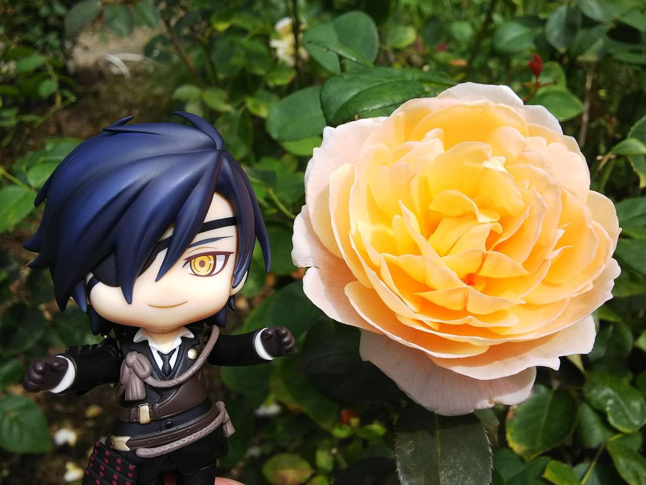 Mitsutada prezentuje śliczną różę puzzle online