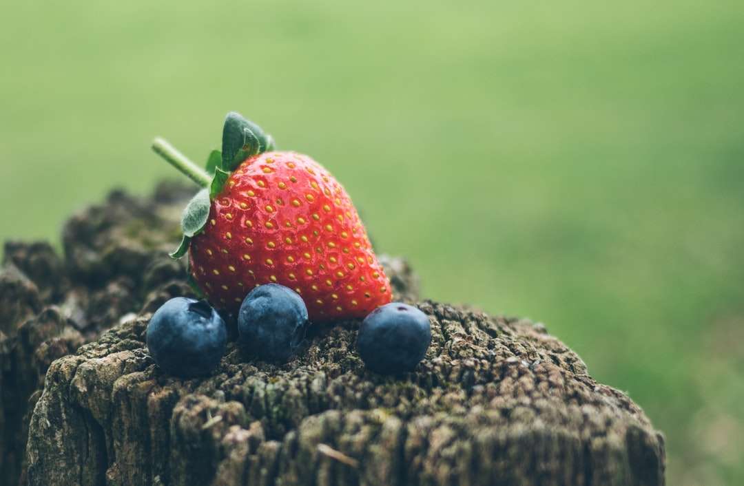 truskawka i trzy jagody w fotografii zbliżenie puzzle online