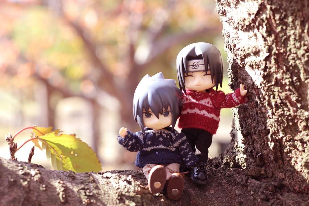 Sasuke i Itachi przysiedli na drzewie puzzle online