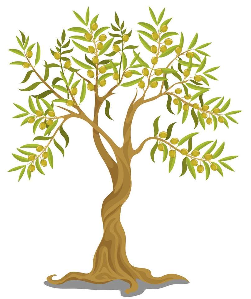 Drzewo oliwne puzzle online