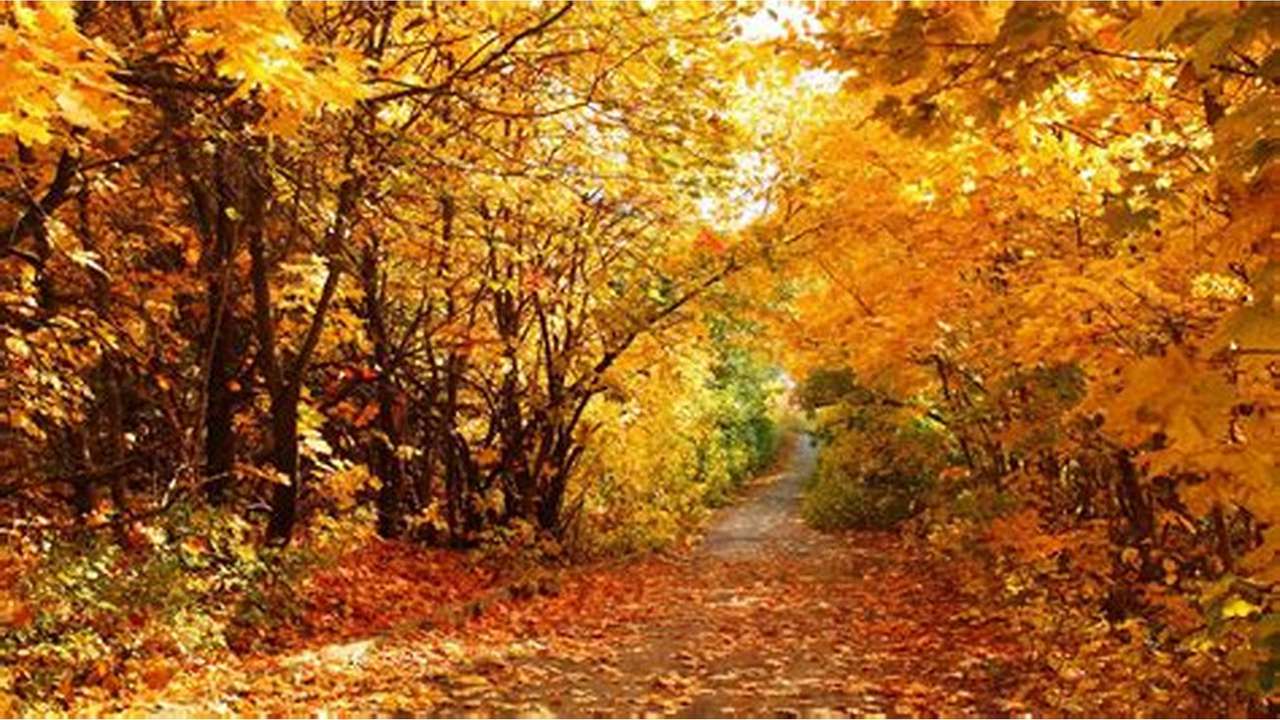 秋の森 パズル